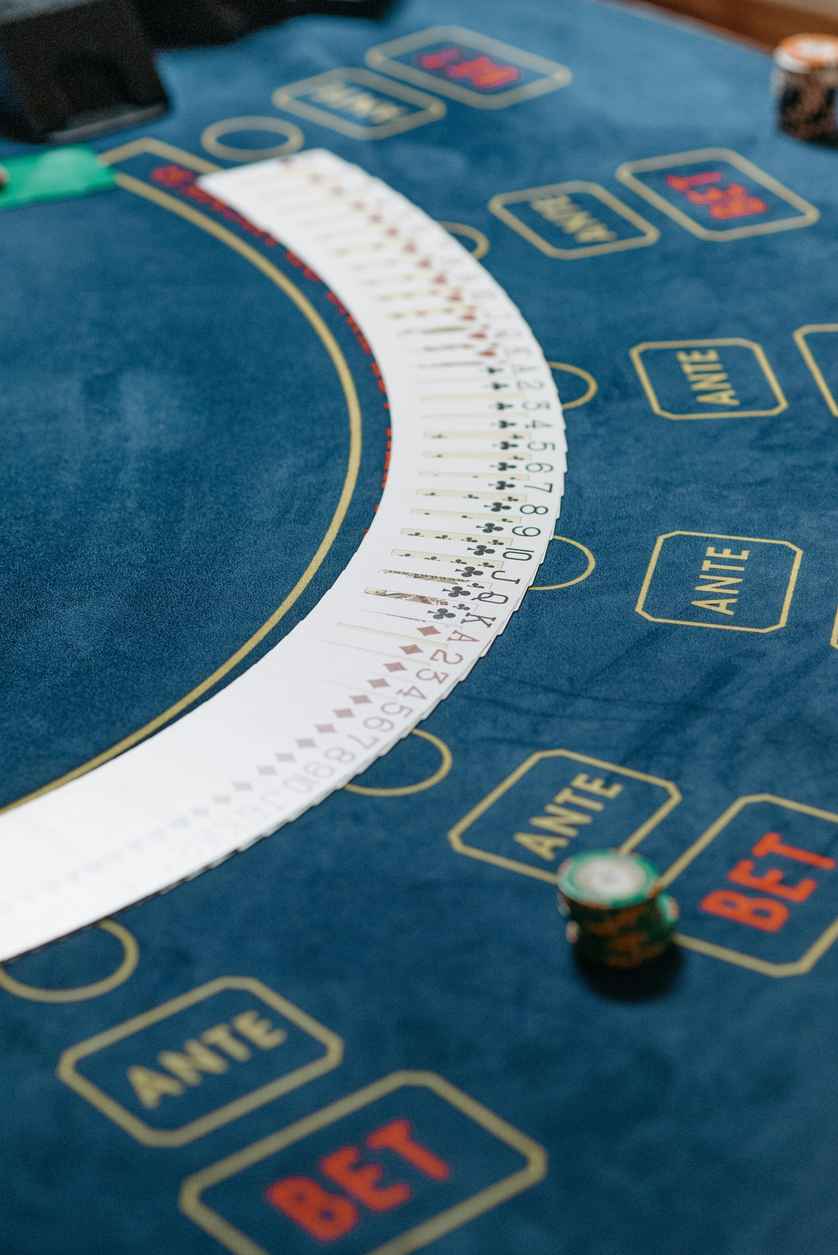 iwild casino log ind